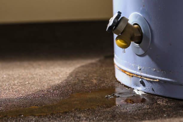 Best Sewage cleanup and water damage restoration  in Belvedere, CA