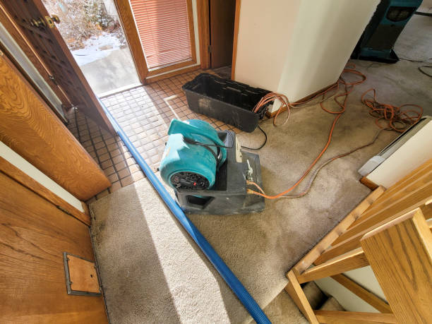 Best Basement water damage restoration  in Belvedere, CA