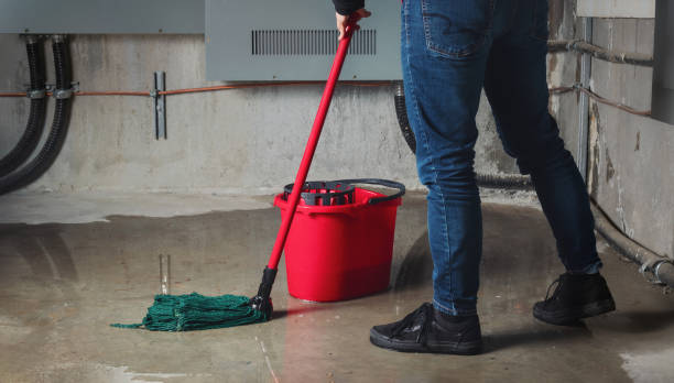 Best Flood restoration services  in Belvedere, CA