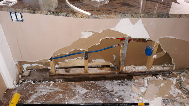 Best Water damage cleanup near me  in Belvedere, CA