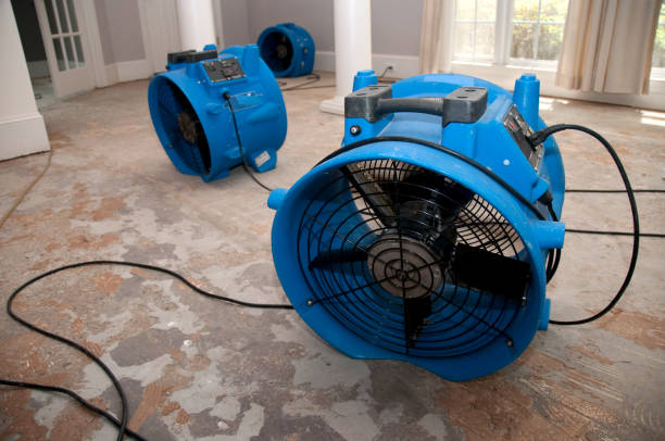 Best Mold removal after water damage  in Belvedere, CA