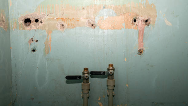 Best Emergency water damage restoration  in Belvedere, CA