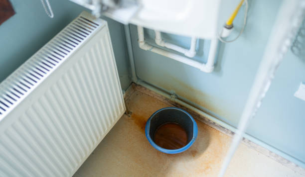 Best Water damage restoration experts  in Belvedere, CA