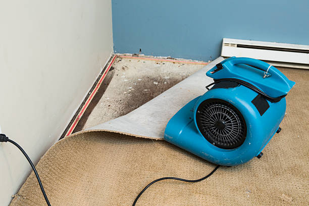 Best Flood damage cleanup  in Belvedere, CA